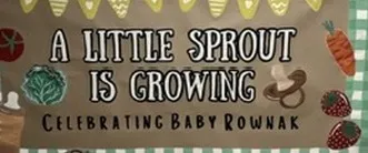 Hand-painted banner reading "A little sprout is growing, celebrating Baby Rownak", with painted vegetables and strawberries and a green gingham edge.